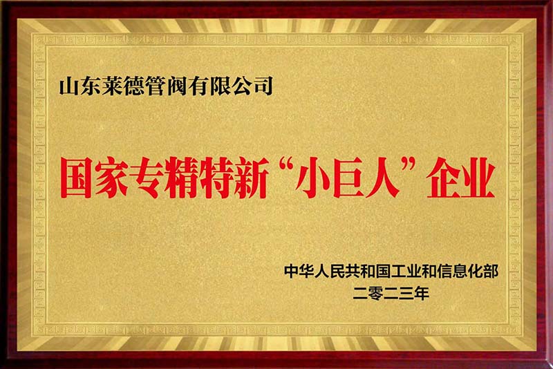 山東萊德管閥有限公司榮膺國家級專精特新“小巨人”企業(yè)